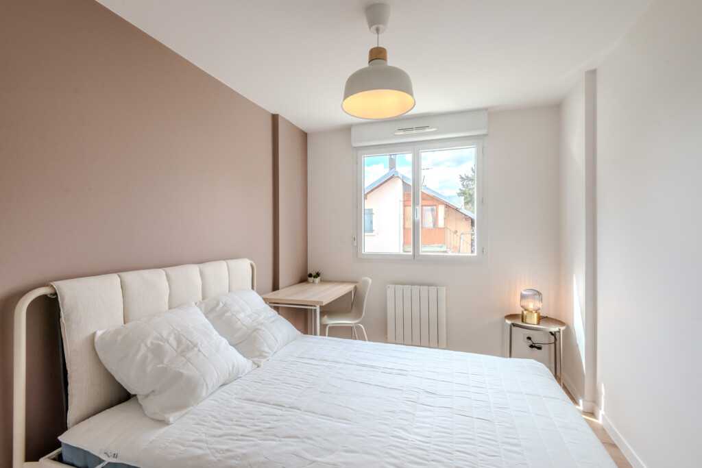 colocation annemasse