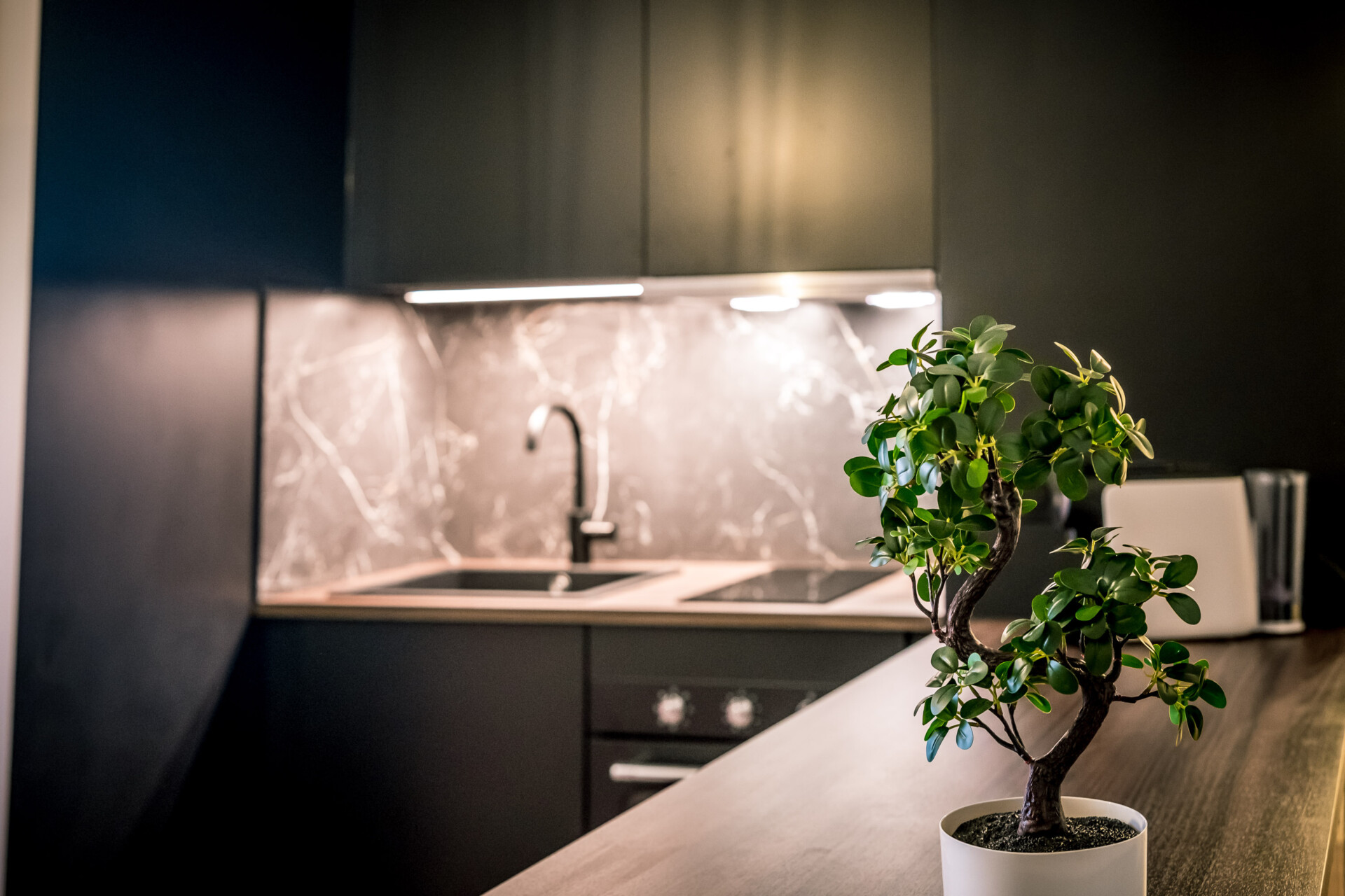 investissement frontalier